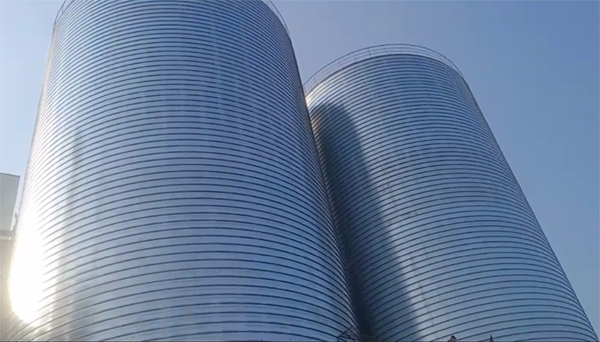 武昌2座混凝土高架卷板仓